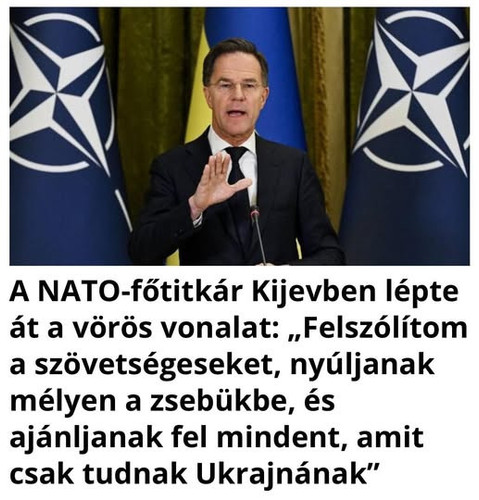 625735343 926215093262822 5628264367007154522 n.jpg?stp=dst jpg p180x540 tt6& nc cat=104&ccb=1 7& nc.jpg