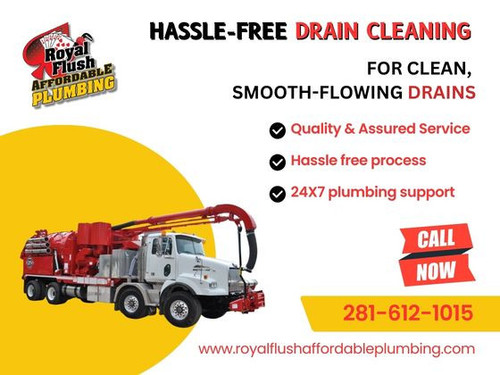 ROYAL FLUSH drain cleaning service.jpg