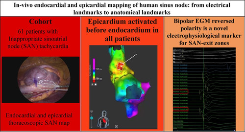 G 8j04Ra0AA6piL?format=jpg.jpg