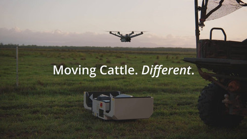 fTqHXCD U sPfux5.jpg