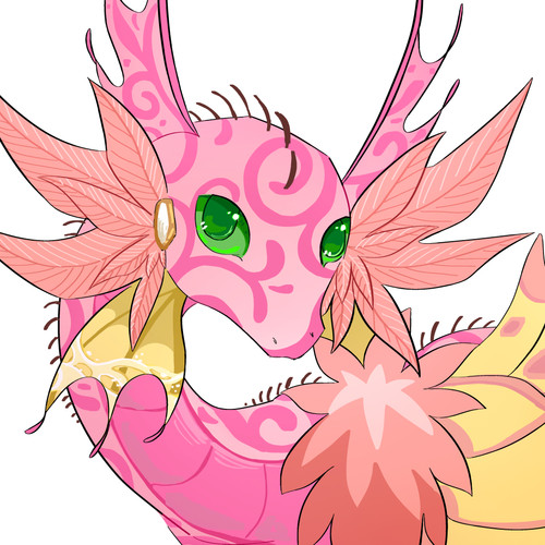 Untitled461 20260203195656.jpg