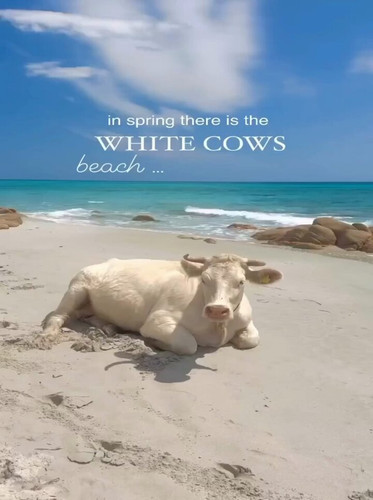 OqOxAq ULO6cBAoT.jpg