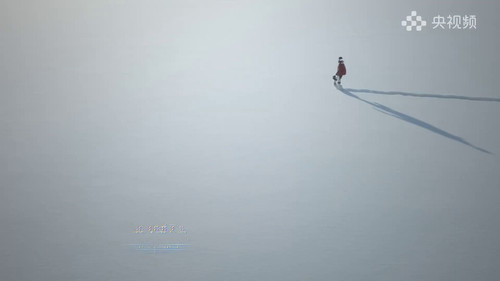 j Z14wuM8pY6llbr.jpg