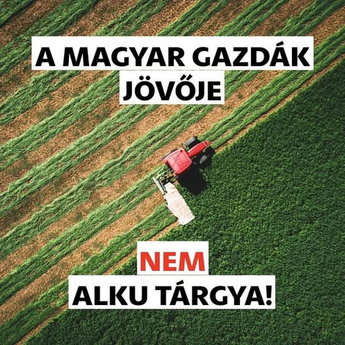 627432791 1436473317842898 6108068761201261008 n.jpg?stp=dst jpg p526x296 tt6& nc cat=110&ccb=1 7& n.jpg