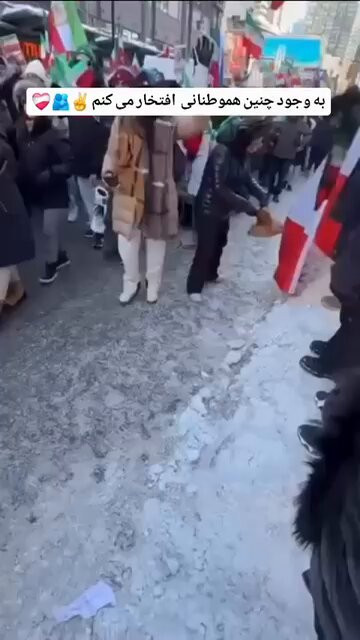 R5oLqC NF5Trau3L.jpg