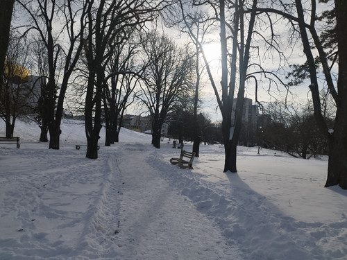 IMG 20260203 151100.jpg