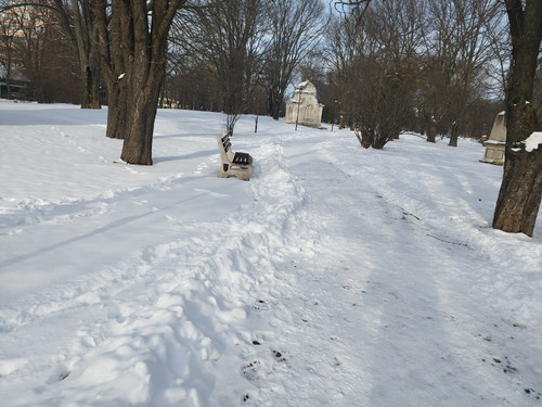 IMG 20260203 151028.jpg