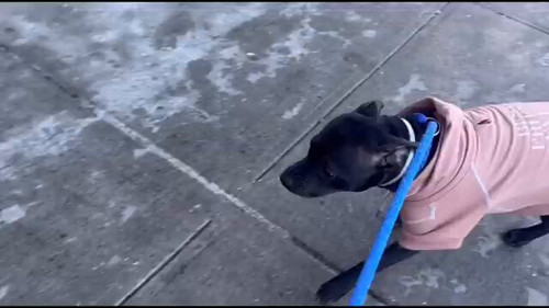 jYO3OZdph Id51y7.jpg