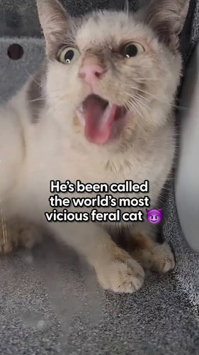 7371mU m aN3ePhW.jpg