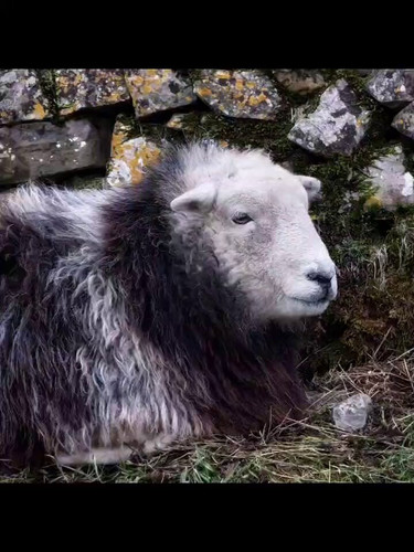 H2n3K XBHYeAtfvf.jpg