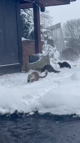 BWQBhC4z 3sM6xq1.jpg