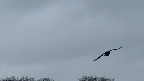 jTUaSTpZ3JyUsuo .jpg