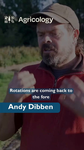 vrgZgvVXMuwd mN0.jpg