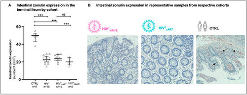 G 5Yn3cbYAAqw8z?format=jpg.jpg