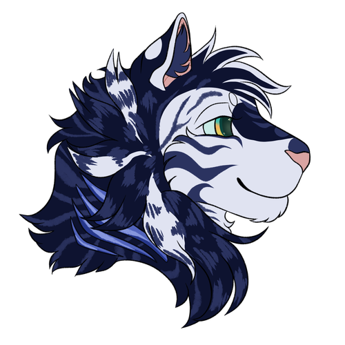 Untitled849 (1).png