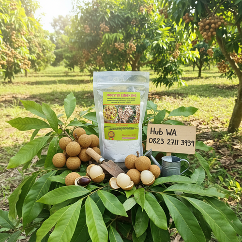 foto slot 13 (20).png