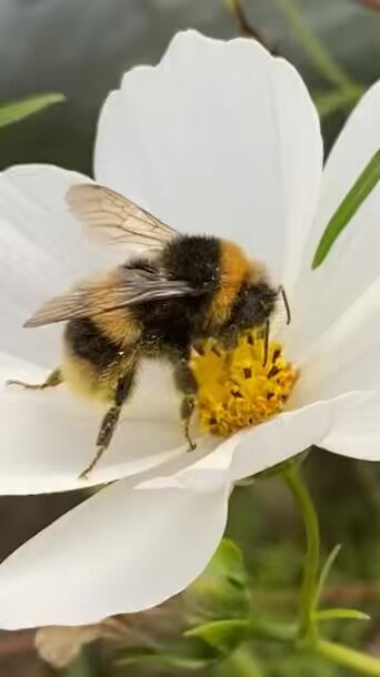 laeRAhsJtdLSe Lw.jpg