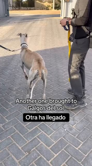 N WyzpI Z4It0K8n.jpg