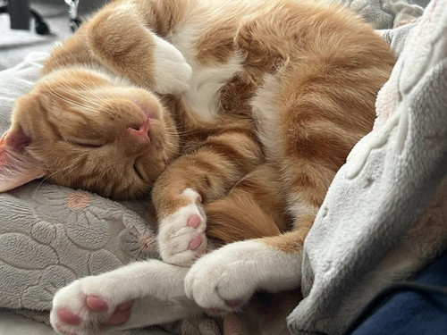 625366728 25830507446638746 8185936065983496626 n.jpg