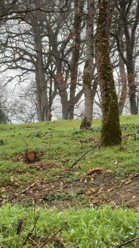 jQFbsoVDJZWiAeu .jpg