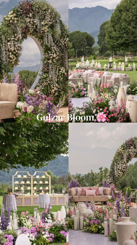 mini magick20260204 7289 zfdhaa.jpg