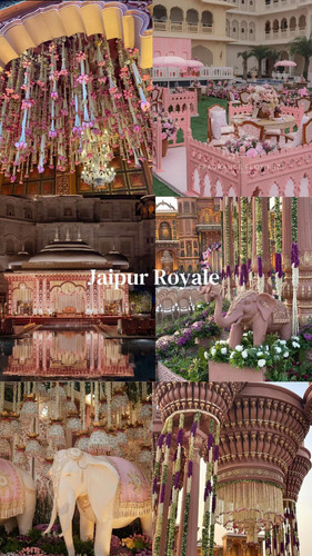 mini magick20260204 7289 5ljyg5.jpg