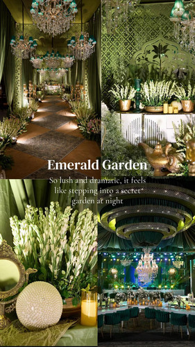 mini magick20260204 6552 21mvcy.jpg