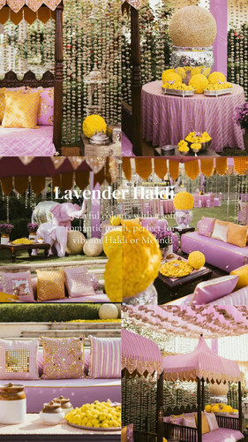 mini magick20260204 6552 zftuku.jpg