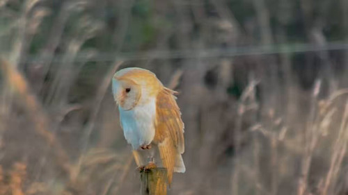 56Uk9IgAZCS ElGA.jpg