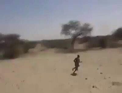 MpzilvN B6s umC4.jpg