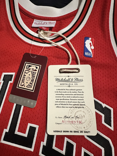 Jordan Jersey 04.jpg
