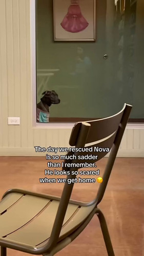 rqrqiYK9Pag TUC2.jpg