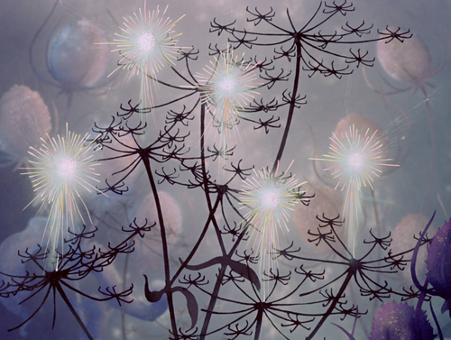 vlcsnap 2026 02 03 22h35m19s241.png