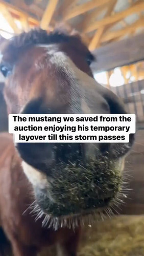 Fn eHt 201uhLguB.jpg