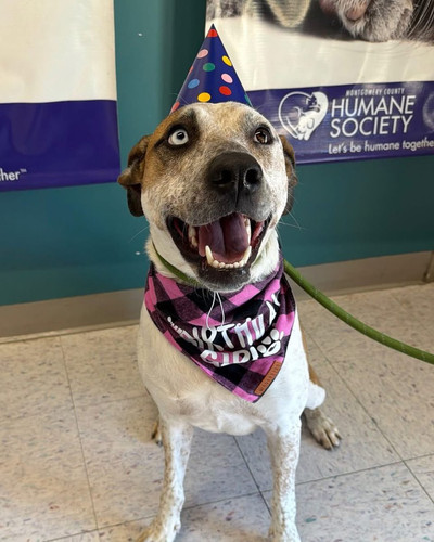 HAQT gmXMAEzoHO?format=jpg.jpg