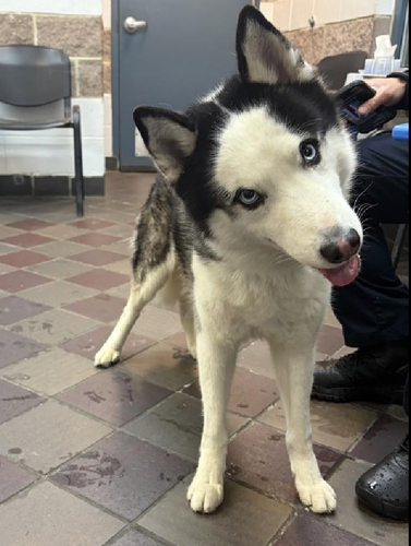 G QrhcWcAIrYG8?format=png.png