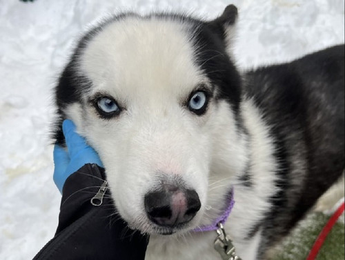 G RNJ XoAAUF3G?format=jpg.jpg