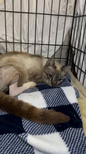 o016sDhwS3zy uj5.jpg