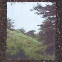 dc08b600a641.png