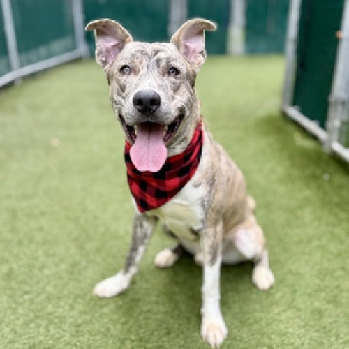 G UnBa1aEAAD2Og?format=jpg.jpg