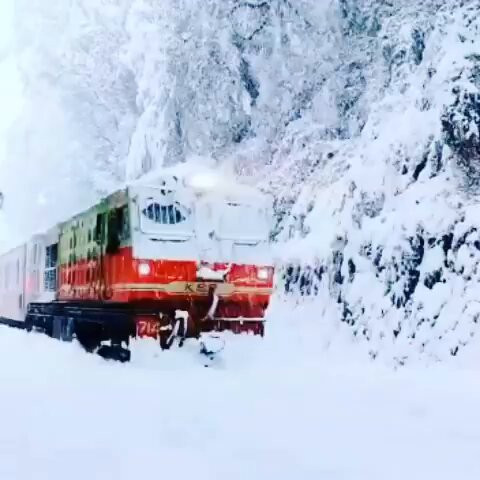 Dpcl 0vz9t7qYv0p.jpg