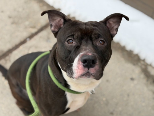 HAHrJa0akAA6n ?format=jpg.jpg