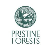 pristine forests logo.jpg