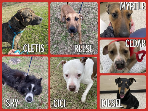 G pFt63WAAAyy4n?format=jpg.jpg