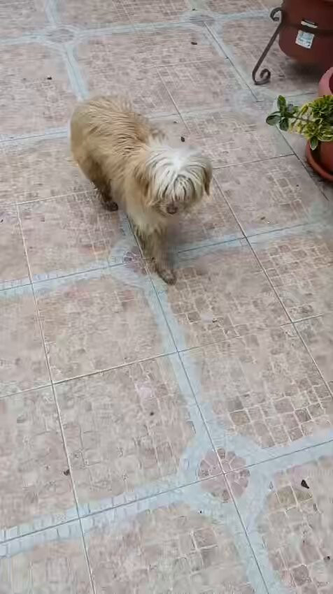 Zi uonHCB3z08 2B.jpg