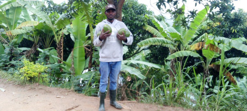 HANduX7XwAAZwu0.jpg
