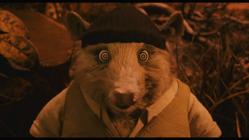 Fantastic.Mr.Fox.2009.1080p.Blu ray.REMUX.AVC.DTS HD.MA.5.1 CHD.mkv 20260203 200327.219.png