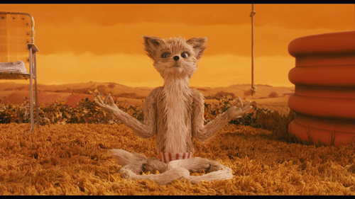 Fantastic.Mr.Fox.2009.1080p.Blu ray.REMUX.AVC.DTS HD.MA.5.1 CHD.mkv 20260203 200314.650.png