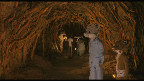 Fantastic.Mr.Fox.2009.1080p.Blu ray.REMUX.AVC.DTS HD.MA.5.1 CHD.mkv 20260203 200339.758.png