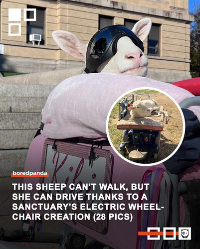 Community Share (2).jpg